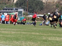 AM NA USA CA SanDiego 2005MAY20 GO v CrackedConches 112 : Cracked Conches, 2005, 2005 San Diego Golden Oldies, Americas, Bahamas, California, Cracked Conches, Date, Golden Oldies Rugby Union, May, Month, North America, Places, Rugby Union, San Diego, Sports, Teams, USA, Year
